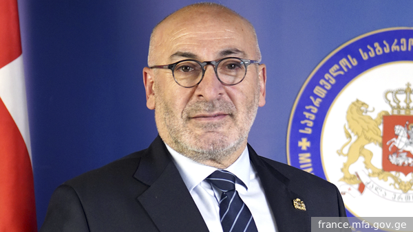 Подавшего в отставку грузинского посла во Франции обвинили в «оскорблении страны»