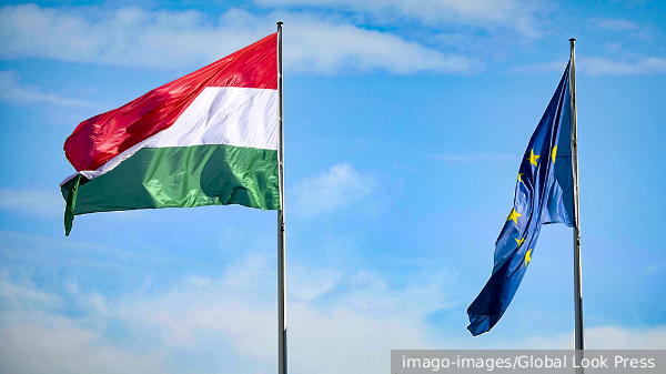 Рар: Из-за инициативы об иноагентах Венгрия рискует своим членством в ЕС