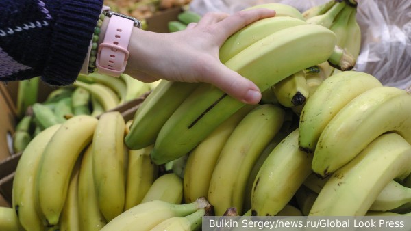 Россия нарастила закупки бананов из Китая в 19 раз