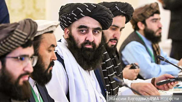 Стало известно о предсказании Жириновского по признанию талибов