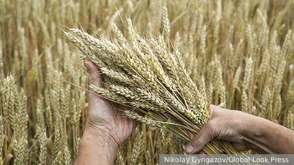 ЕС утвердил заградительные пошлины на зерно из России и Белоруссии