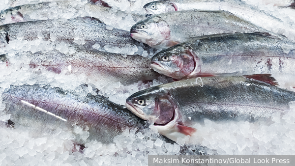 Япония впервые за три года получила у России квоты на вылов лососевых