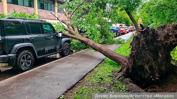 Эксперт Михаил Порватов: ОСАГО не покроет автовладельцу ущерб от урагана