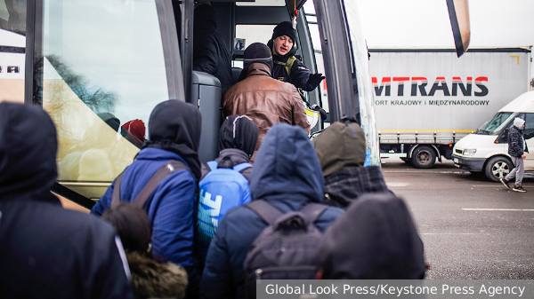 Подсчитано среднесуточное число пытающихся покинуть Украину уклонистов