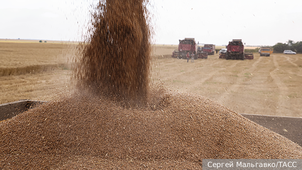 Страны БРИКС поддержали инициативу России по созданию зерновой биржи