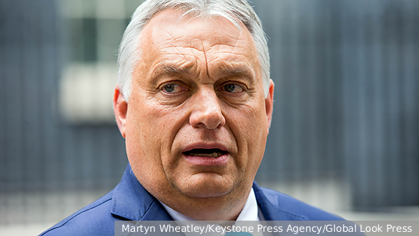 Венгрия предложила Украине прекратить огонь для переговоров с Россией