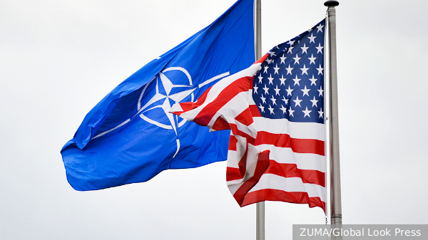 Дробницкий объяснил призыв американских ученых к НАТО не принимать Украину в альянс