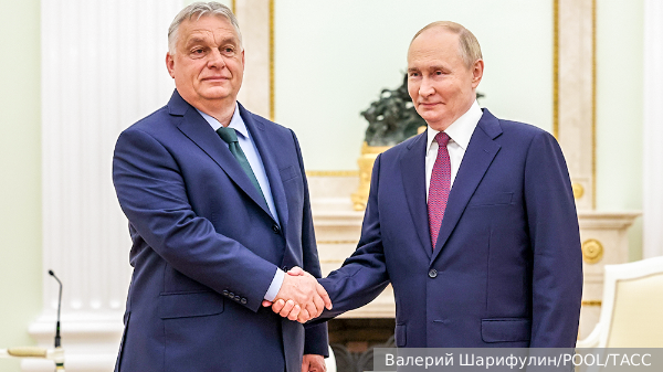 Шольц объяснил поездку Орбана в Москву «фискальными проблемами отдельных стран»