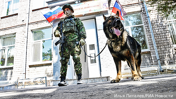 Кинолог Мухин: В каждом батальоне в СВО нужны минимум две собаки