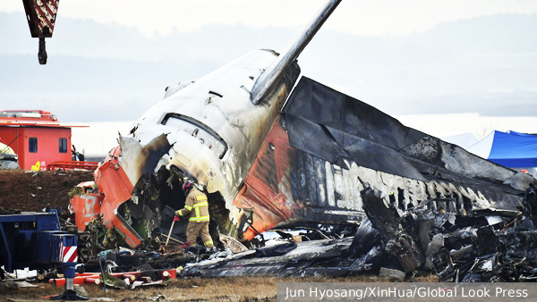 В двигателях разбившегося самолета Jeju Air в Южной Корее найдены перья