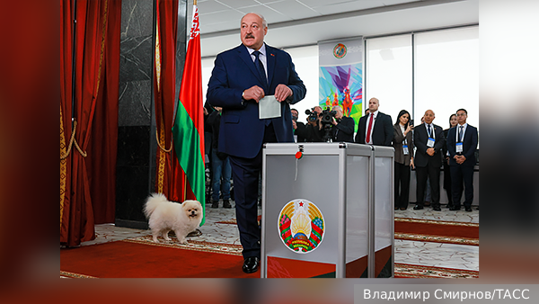 Политолог: Шпиц Лукашенко сделал выборы в Белоруссии запоминающимися и живыми