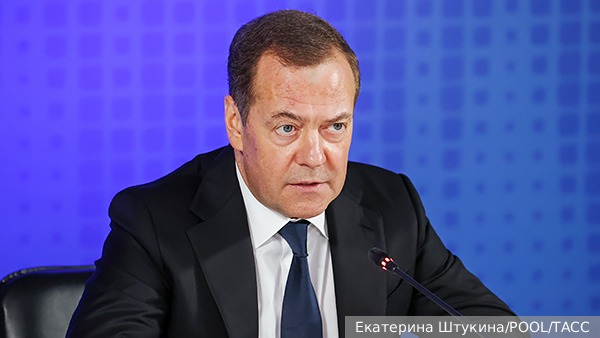 Медведев объяснил признание партии АдГ экстремистской