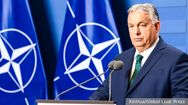 НАТО позвали на защиту от Украины