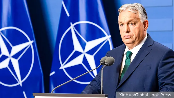 Действия Украины в Венгрии загнали НАТО в тупик