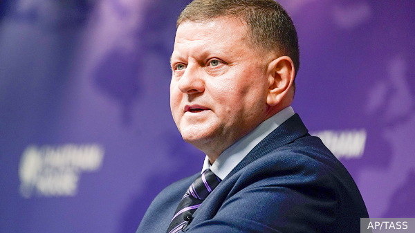 Залужный призвал Украину не надеяться на чудо и белого лебедя