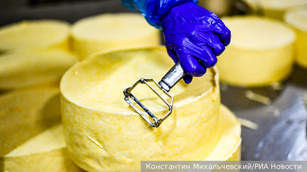 Россельхознадзор обнаружил в  брянском сыре антибиотики для скота