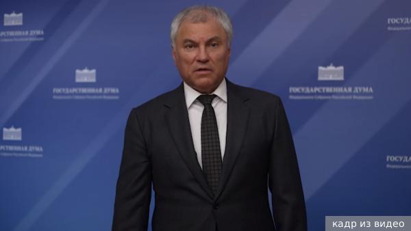 Бундестагу направлены материалы об ударах ВСУ по мирным жителям России