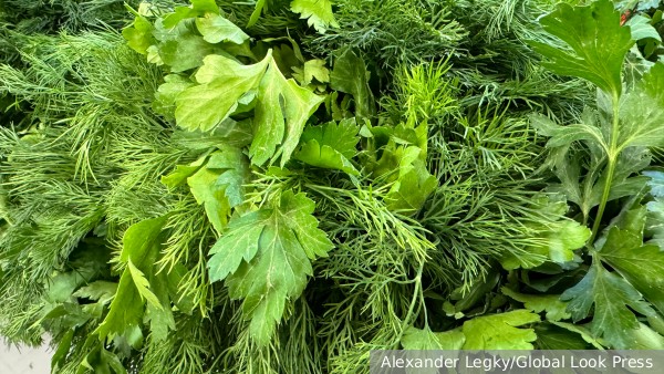 Юрист рассказала о правилах продажи овощей и фруктов с участка