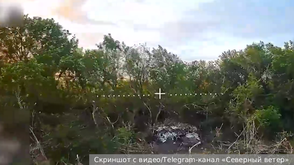 Бойцы группы «Север» отразили за месяц почти 200 попыток ВСУ прорваться в Россию