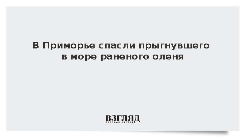 В Приморье спасли прыгнувшего в море раненого оленя