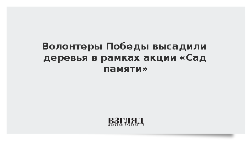 Волонтеры Победы высадили деревья в рамках акции «Сад памяти»