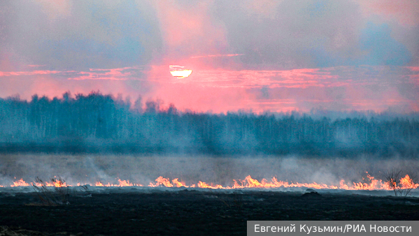 В Забайкалье взорвались боеприпасы во время пала травы