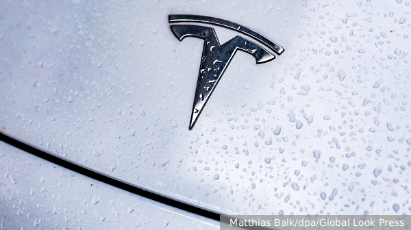 Старовойт приобрел автомобиль Tesla за полтора месяца до смерти