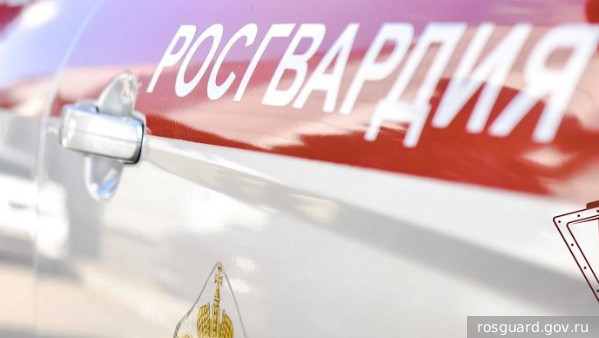 Хинштейн сообщил подробности атаки беспилотников ВСУ на пляж в Курске