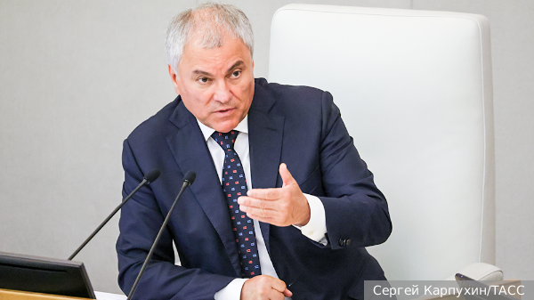 Госдума предложила рассмотреть введение дополнительных госпошлин для мигрантов