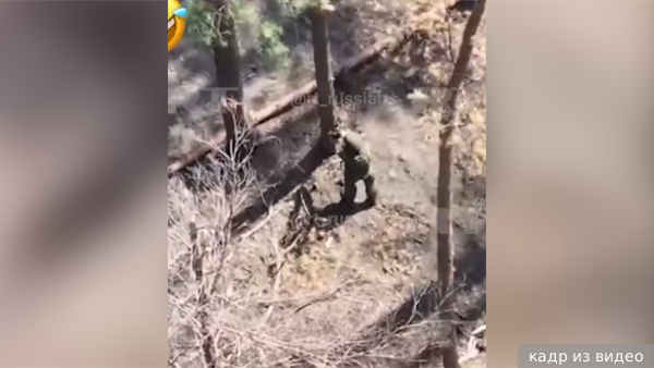 Боец СВО голыми руками уничтожил дрон ВСУ 