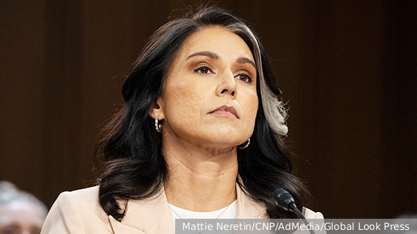 Габбард заявила о наличии доказательств сговора на выборах США