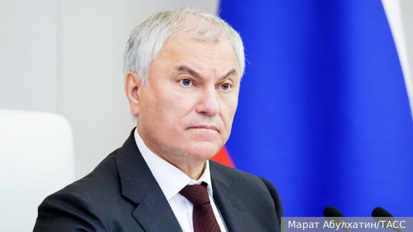 Володин заявил, что России не нужны новые граждане с потребительской позицией