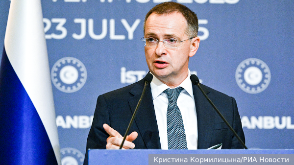 Мединский заявил о политическом пиаре вокруг возвращения детей