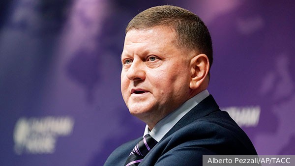 Коц заявил, что Залужного хотят сделать президентом Украины «не для мира»