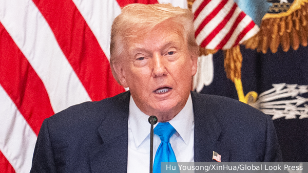 Трамп заявил о «большом прогрессе» на встрече Путина и Уиткоффа