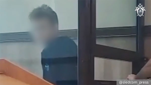 Подростки в Новосибирской области признались в попытке убийства военного