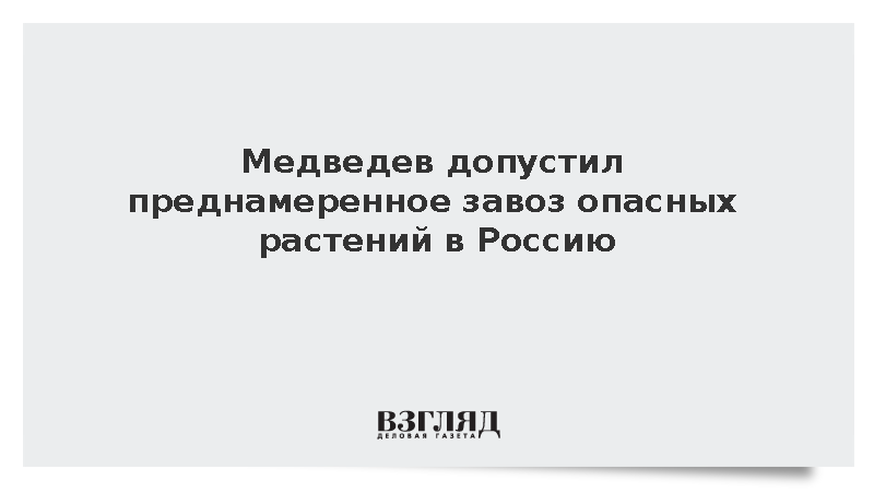 Медведев допустил преднамеренный завоз опасных растений в Россию