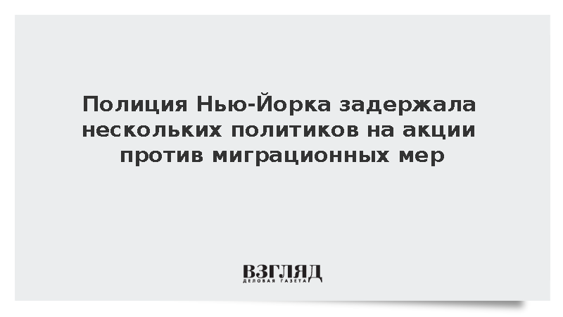 Полиция Нью-Йорка нескольких политиков за акцию против миграционных мер