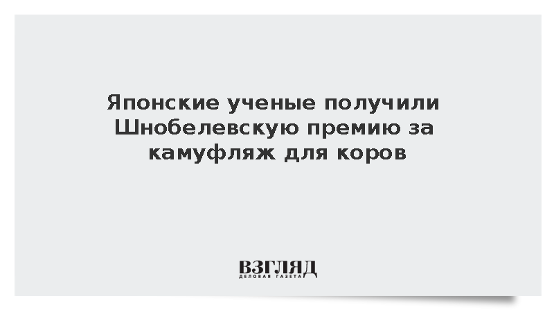 Японские ученые получили Шнобелевскую премию за «зебровый» камуфляж коров