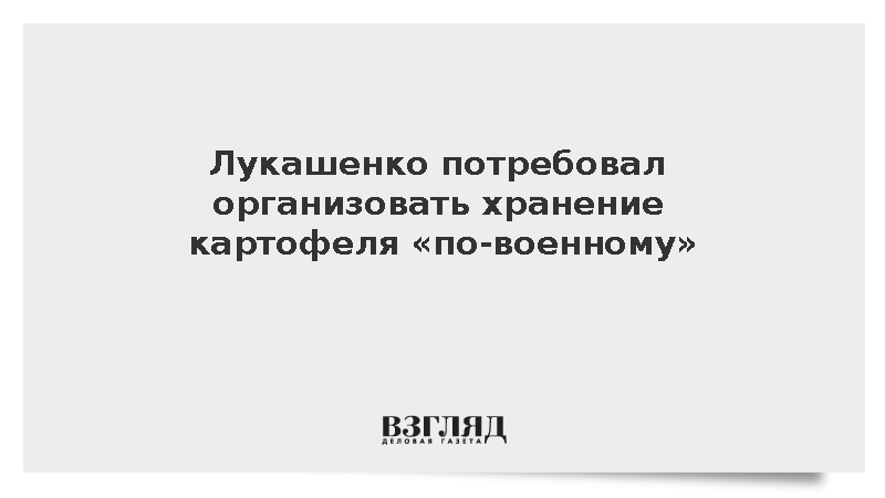 Лукашенко потребовал организовать хранение картофеля «по-военному»