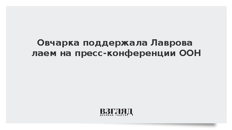 Овчарка на пресс-конференции ООН прервала ответ Лаврова о Газе и Палестине