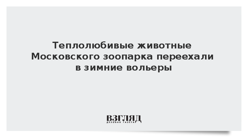 Теплолюбивые животные Московского зоопарка переехали в зимние вольеры