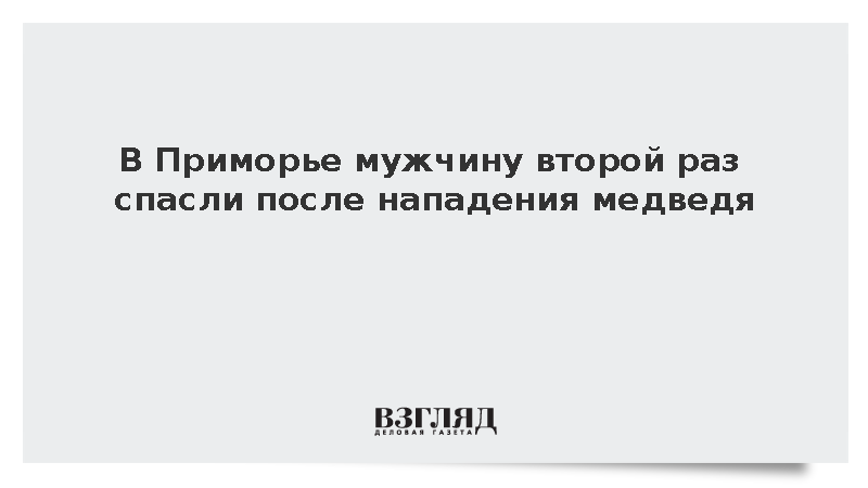 Медведь второй раз напал на сборщика шишек в Приморье