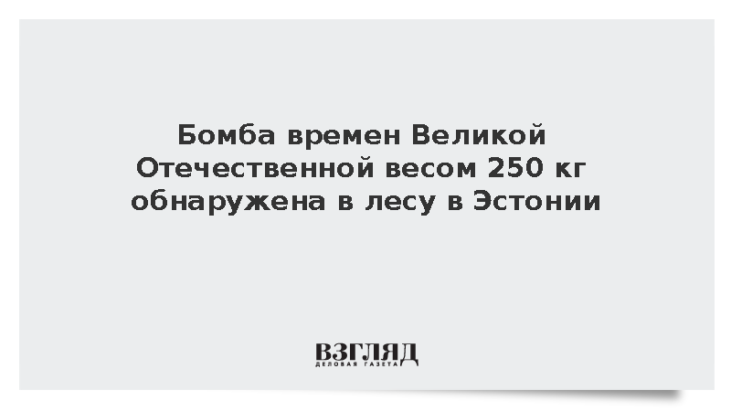 ERR: Авиабомбу времен Великой Отечественной весом 250 кг нашли в лесу в Эстонии