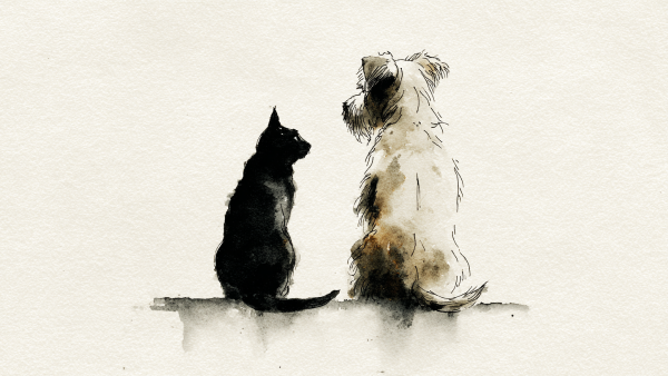 Собаки и кошки – мягкая сила России