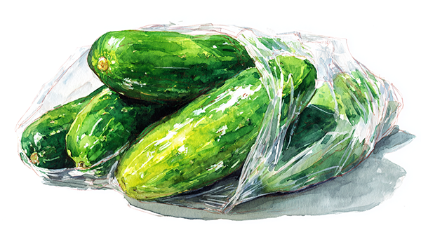 Зимний огурец стал новым признаком русской цивилизации