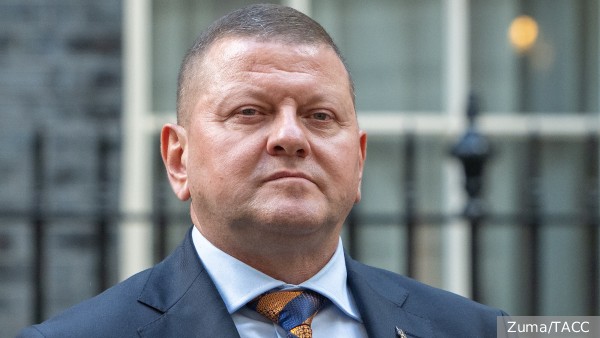 Кто стоит за атакой Залужного на Зеленского