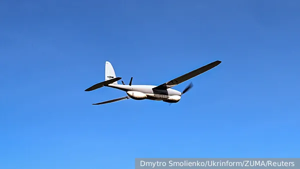 ВС России тараном сбили датский дрон RQ-35 Heidrun