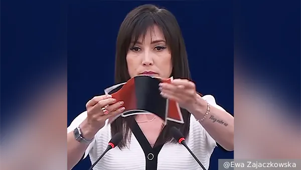 Польский депутат порвала флаг УПА в Европарламенте