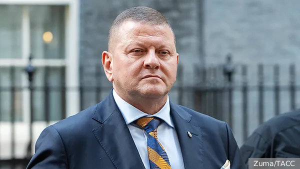 Залужный заявил о полном отсутствии перспектив у НАТО